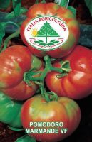 Pomodoro marmande vf